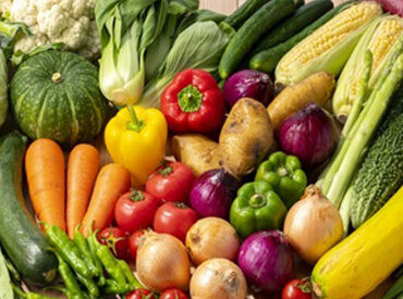 東京促成青果株式会社 大田センター 青果の集荷/検品/仕分け/出荷など
決まった流れで進めていく軽作業です！
初バイトや久しぶりのお仕事復帰でも安心♪