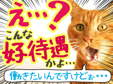 かつや 札幌西区西町店 マニュアルをご用意しているので
未経験でも安心してチャレンジできます♪

ブランクのある方やWワークの方にもピッタリ◎