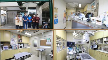 イオンペット株式会社　 山口動物病院 (686256)  【社割が嬉しい】
安心のイオングループ！
入社一定期間後、テーマパークチケットやイオンシネマがお得に♪