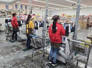 ダイコー生鮮卸値市場／レジ 新人さんのフォロー体制もばっちり！
経験ゼロでもちゃんと一人前に育てます♪