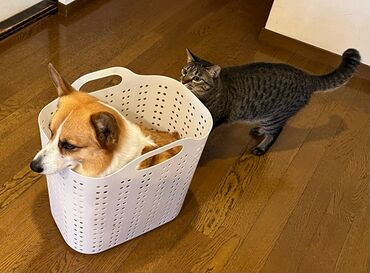 未経験OK！＼資格取得も応援します／Wワークにもおすすめ◎
