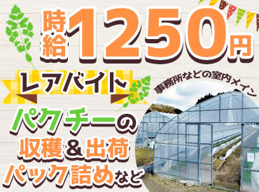 イーアクシスプロデュース株式会社 大手食品メーカーとの取引があるため、安定したお仕事量が魅力♪
長期で安心して働きたい方にもピッタリの環境です★