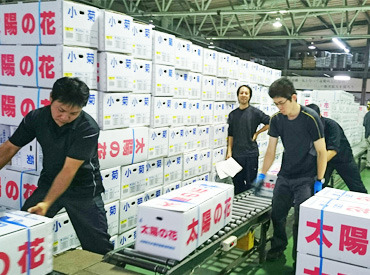 太陽の花 服・髪は自由でOK☆
決まったルールはありません◎