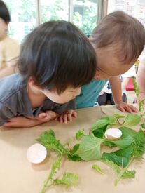 ≪シフトはご相談ください≫
お子様のお迎えや勤務曜日などは考慮します♪
家事と両立して働けますよ◎