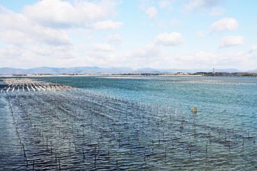 オカムラ水産 ≪日払い/週払い相談OK≫
「天候が悪いから、今日はもう帰ろう」
早く終わった場合も給与保証♪
まずはお気軽にご応募ください☆