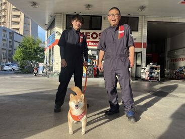 ENEOS与野八幡通りSS 未経験・バイトデビューも大歓迎♪
看板犬のそらまめくんがあなたをお迎えします♪