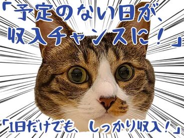 キャリアップ株式会社 大阪南支社/cu001 大学生・Wワーク・主婦(夫)歓迎★
高時給でガッツリ稼げちゃう♪
お給料は振込or手渡しOK！
お副業希望の社会人も必見です！