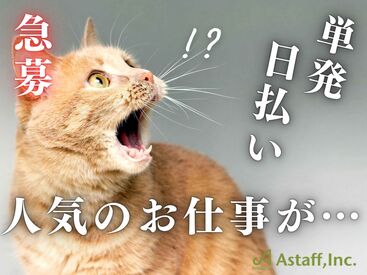 アスタッフ株式会社 明石支社/af004 いつでも好きなタイミングで稼げる！
登録さえしておけば「働きたい！」と思ったときに
サクッと勤務できちゃいます♪