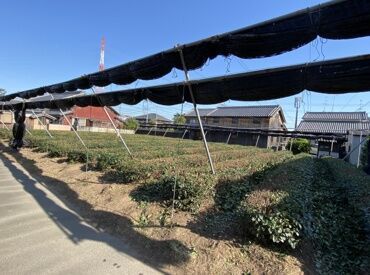 「いきなり働くのは不安…」
というかたは職場の事前見学もOK！
リラックスしてお越しください(*^^*)／