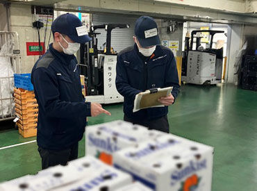 ＼未経験スタートも大歓迎／
指示通りに青果を仕分けるシンプル作業！
社員登用あり⇒キャリアアップも目指せる◎