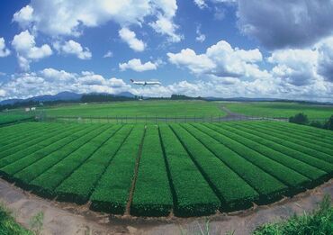 学歴・年齢・経験は一切不問！
未経験スタートの方もスグに慣れます★
まずは、お気軽にご応募ください！