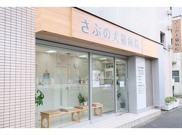 さぶの犬猫病院 開業1年半の綺麗で親しみやすい動物病院
まったくの未経験でもご安心を!
先輩スタッフや獣医師が一から丁寧に教えてくれます◎