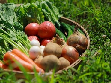 フルタイムで安定して働けます♪
週3日～無理なくシフトに入れます◎出勤日はご相談ください！
※イメージ画像