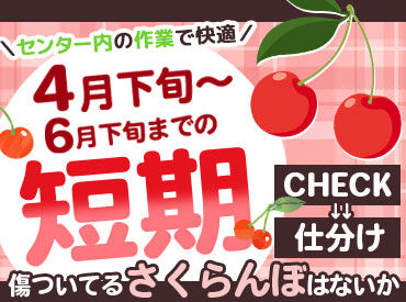 株式会社東根農産センター 温度管理されたキレイな建物内で
「座って作業」できるから体力も不要♪
集中してモクモク仕分け…
楽しくてハマっちゃいます!!!