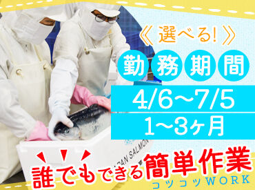 日勤のみのお仕事なので、
ご家族が家にいない時間帯で働きたい
主婦(夫)さんにもぴったり♪
シフトのご相談お気軽にどうぞ!!