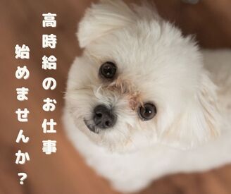 高時給1500円＆日払いOK！
短期勤務可能です！ご相談ください♪
仙台駅近くでアクセスも抜群です◎