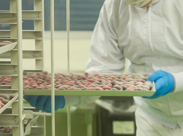 株式会社泉州屋　杭全工場 増設オープンにつき新規スタッフさん大募集★
ご家庭での料理よりも、簡単！
普段お料理をされる方なら、即戦力です♪