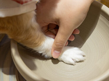 陶芸の資格や経験を活かして働きたい方にピッタリ！
ワンちゃん好きにも嬉しい職場♪
週1日～無理なくスタートできます◎