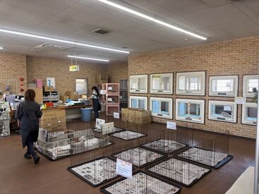 大切なのは愛情を込めて対応すること。
そうすればきっとこたえてくれますよ♪