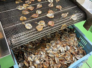 株式会社一榮食品　宮崎工場 ＜＜週3日～OK＞＞
家事/育児/予定/Wワークとの両立も可能！
プライベートも大切にしながら働ける職場です♪