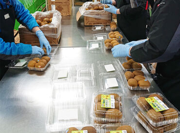 履歴書不要で面接へ♪
事前の準備は一切必要ありません◎
堅苦しい面接もナシ!気軽にお越しください!