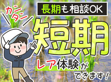 新岩手農業協同組合 八幡平営農経済センター 米穀園芸課 主婦（夫）さん・シニアさん・フリーターさん等大歓迎！
自然のなかで身体を動かしながら働けます♪
日々の運動不足解消にも◎