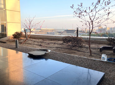 大阪アカデミア 植え付けしてもらう場所です！（一例）
花や木を自由に植えてください◎
センスや経験は問いません♪