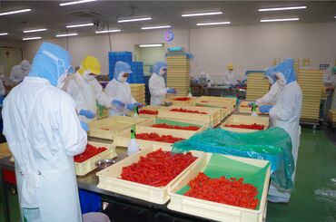 株式会社博多屋　新宮工場 ＼福岡県子育て応援宣言企業♪／
子育てとの両立が不安な方は、
お気軽に”職場見学”へお越しください◎