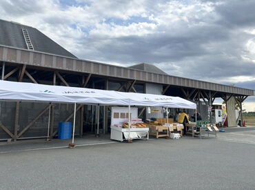 木のぬくもりを感じられる、温かい雰囲気のお店です。
「定年したけどまだまだ働きたい」
そんなシニア世代も活躍中!