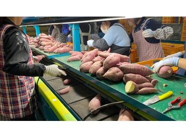 株式会社セイショウ　苫小牧営業所 今見ている求人の他にも、セイショウでは様々なお仕事をご紹介可能です！
まずは希望をお気軽にご相談ください♪