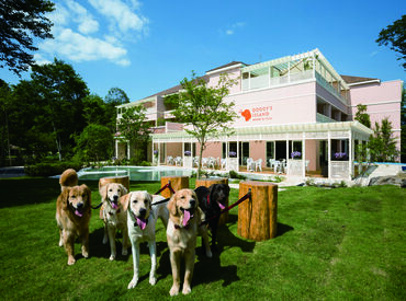 小谷流の里　ドギーズアイランド 未経験・バイトデビューも応募歓迎！
学生さん、フリーターさん、主婦(夫)さんetc.
様々な属性のスタッフが活躍しています★