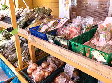 富士ミルクランド ＜富士ミルクランド内のスタッフ募集＞
難しい仕事なしなので、未経験・ブランクありの方も歓迎！