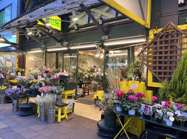 大学生・フリーター・主婦(夫)、様々な世代が活躍できる!
週3日~シフト相談OK!
勤務時間や曜日など気軽にご相談ください◎