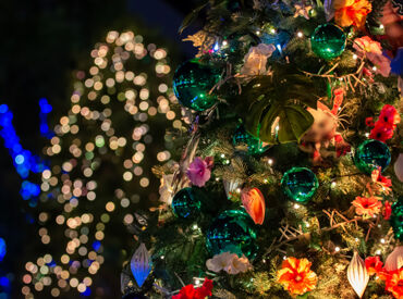 毎年大人気のレアイベント！
横浜の人気スポットが、
イルミネーションでより華やかに♪