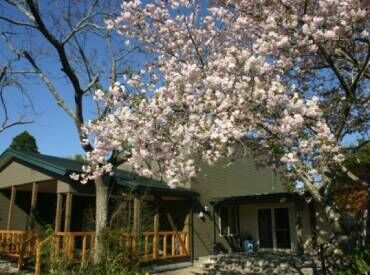 残業なしでオンとオフのメリハリもバッチリ！
お仕事終わりの予定も立てやすく
「自分の時間も大切にしたい…」という方にも♪