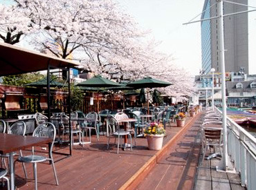 桜のシーズンにはこんなにきれいな景色の中お仕事ができます♪
テンション上がること間違いなし★