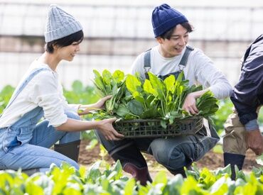 紹介元：JA香川県無料職業紹介所『アグリワーク』　（紹介先：善通寺市エリアの農家） ◆◆ 未経験さんも大歓迎 ◆◆
JA香川県が運営する
無料職業紹介所『アグリワーク』が
あなたのお仕事探しを応援します！