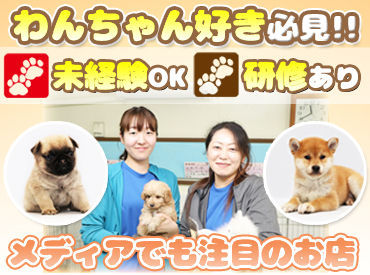 愛犬ハウスセキノ Ｕ^ｪ^Ｕ≪ワンちゃん好きWelcome★
「犬を飼ったことがなくて…」
そんなスタッフも在籍しています♪