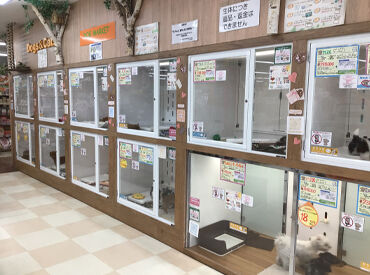 ペットワールド アミーゴ徳島店 『接客する・販売する』という意識を持って働いていただける方を歓迎！
サポート体制も整っていますのでご安心ください◎