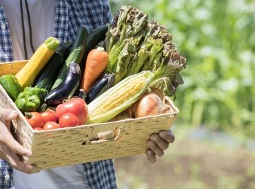 紹介元：JA香川県無料職業紹介所『アグリワーク』　（紹介先：観音寺市エリアの農家） ◆◆ 未経験さんも大歓迎 ◆◆
JA香川県が運営する
無料職業紹介所『アグリワーク』が
あなたのお仕事探しを応援します！