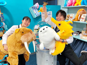 伊勢シーパラダイス(シーパラ)｜三重県伊勢市のゼロ距離水族館 ＜水族館でのお仕事＞
居心地が良い環境だから、短期→長期へ切り替える方も多数！