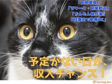 キャリアップ株式会社 大阪南支社/cu001 大学生・Wワーク・主婦(夫)歓迎★
高時給でガッツリ稼げちゃう♪
お給料は振込or手渡しOK！
お副業希望の社会人も必見です！