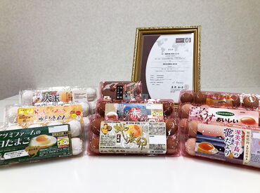 丸卜鶏卵販売株式会社　岐阜工場 安心・安全・おいしいたまごの生産を支える存在に！
未経験からの正社員デビューも大歓迎です！