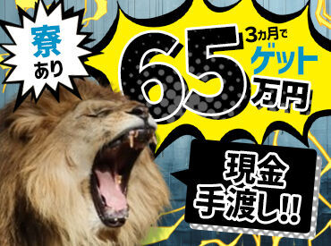 株式会社ニシムラ　西支店（002） 勤務10日目までは日給1万円！
「今すぐ面接したい」そんな急な相談も歓迎☆
合否は面接当日に即決定♪スピード感が自慢です！