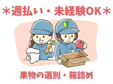 年齢不問！週払いOK★未経験でもカンタンなお仕事！