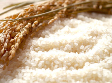 釧路市内のお米の配達やお米の専門店を経営しています。
電話応対、請求書の作成等の一般事務のお仕事です！
※写真はイメージ