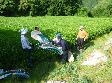 傾斜を歩くのは慣れが必要ですが
作業自体はシンプルで特別なスキルは必要ありません！