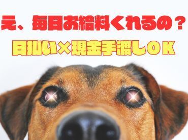 ＼現金手渡しって珍しいんですよ！／
年齢不問！未経験でもカンタンなお仕事！ 
サクッと稼げる♪