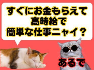 株式会社エスケイコンサルタント　横浜支店/sk702 年齢不問！日払いOK★未経験でもカンタンなお仕事！