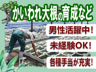 三和農林株式会社　本社・蓮田農場 ＼未経験の方大歓迎／
当社はお客さまに安全・安心な野菜をお届けすることを心がけてます！
やりがいを感じられるお仕事です◎